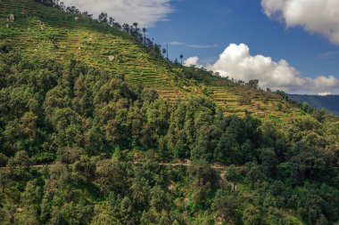 Uttarakhand Bhimtal Road Görünümü - Nainital District, Himalayalar