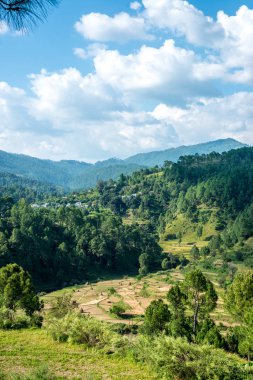 Bageshwar Stepping Fields - Himalaya fotoğrafı