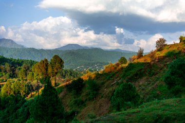 Bageshwar Stepping Fields - Himalaya fotoğrafı