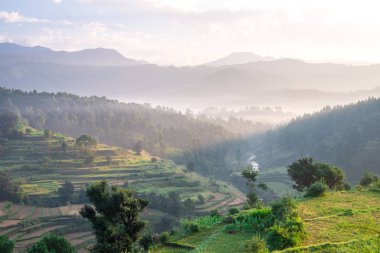 Bageshwar Stepping Farm Gündoğumu - Himalaya
