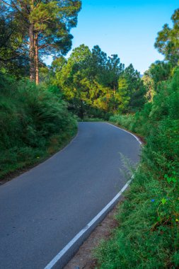 Himalayalar'daki Road - Bageshwar, Uttarakhand, India