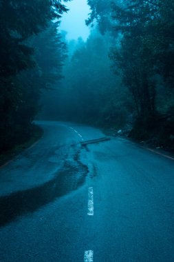 Bach Kande Yollarda Sis - Almora, Uttarakhand