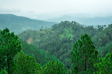 Adım Alanları içinde Bach Kande - Almora, Uttarakhand fotoğrafı