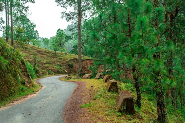 Photo Empty Roads Bach Kande Almora Uttarakhand India — Stock Photo, Image