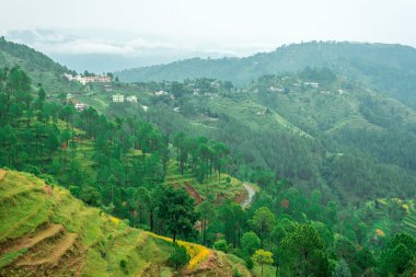 Adım Alanları içinde Bach Kande - Almora, Uttarakhand fotoğrafı