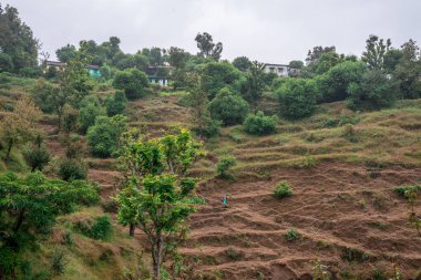 Adım Alanları içinde Bach Kande - Almora, Uttarakhand fotoğrafı