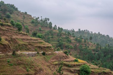 Adım Alanları içinde Bach Kande - Almora, Uttarakhand fotoğrafı