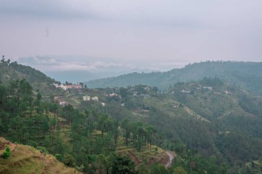 Adım Alanları içinde Bach Kande - Almora, Uttarakhand fotoğrafı