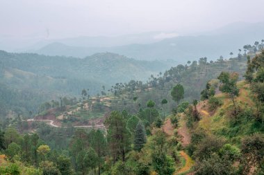 Adım Alanları içinde Bach Kande - Almora, Uttarakhand fotoğrafı