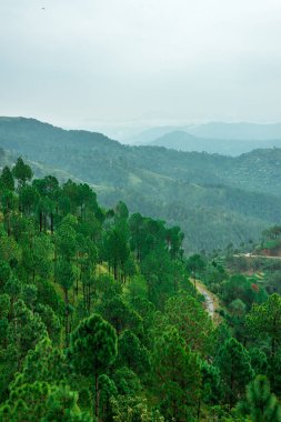 Adım Alanları içinde Bach Kande - Almora, Uttarakhand fotoğrafı