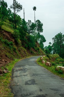 Bach Kande Boş Yollar Fotoğrafı - Almora, Uttarakhand, Hindistan