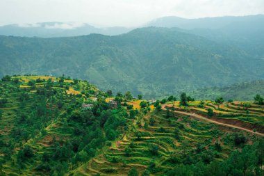 Adım Alanları içinde Bach Kande - Almora, Uttarakhand fotoğrafı