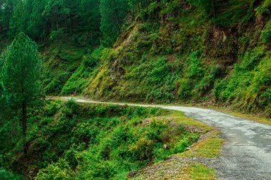 Bach Kande Boş Yollar Fotoğrafı - Almora, Uttarakhand, Hindistan