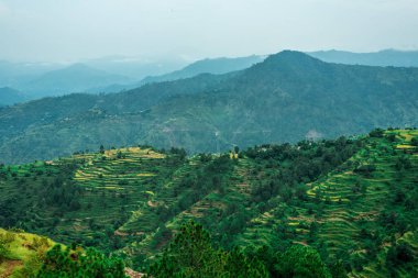 Adım Alanları içinde Bach Kande - Almora, Uttarakhand fotoğrafı