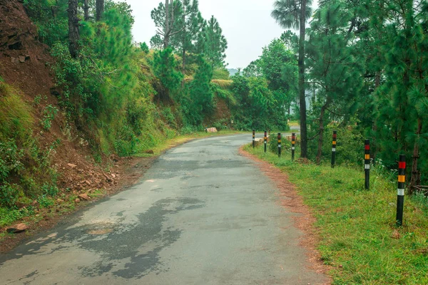 ปภาพของถนนท างเปล าใน Bach Kande Almora Uttarakhand India — ภาพถ่ายสต็อก