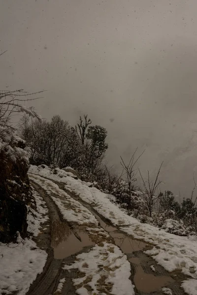 Camino en Himalaya. Plantas de árboles y hierbas secas en la nieve. Cordillera cubierta de nieve en fondo borroso . — Foto de Stock