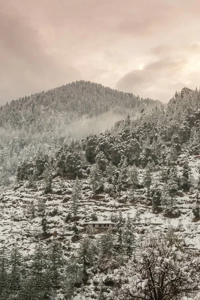 Paisaje invernal. Plantas de árboles y hierbas secas en la nieve. Cordillera cubierta de nieve en fondo borroso . — Foto de Stock