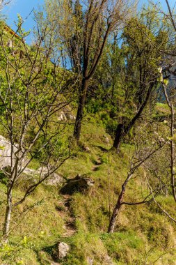 Hindistan'da yaz gün batımında bulutlar ve sarı güneş ışığı ile yüksek Himalaya dağları, güzel kıvrımlı nehir, yeşil orman, mavi gökyüzü ile renkli manzara