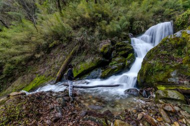 Himalayalar sütlü su akışı Fotoğrafı - şelale
