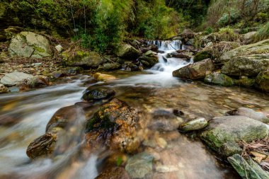 Himalayalar sütlü su akışı Fotoğrafı - şelale