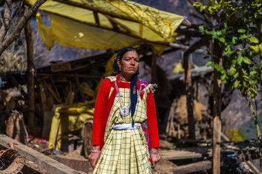 Kullu, Himachal Pradesh, Hindistan - 23 Şubat 2019 : Güzel Hint himalaya geleneksel kadının portresi