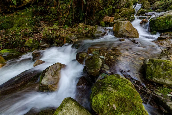 Foto de arroyo de agua lechosa en himalayas - cascada — Foto de Stock