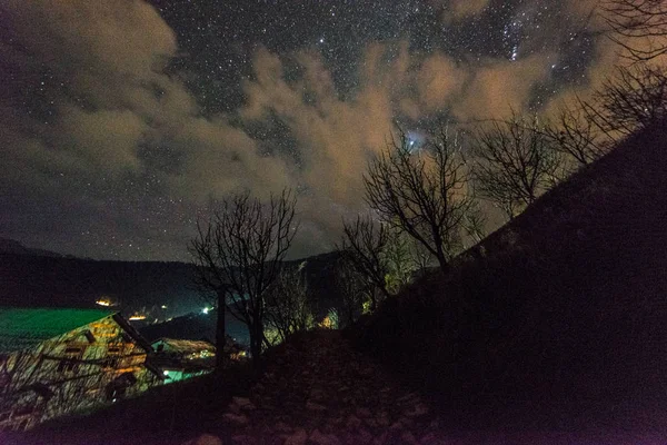 Increíble cielo nocturno con árbol en himalaya — Foto de Stock