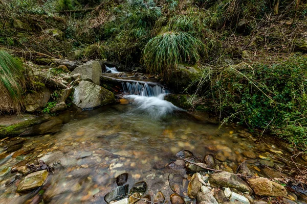 Foto de arroyo de agua lechosa en himalayas - cascada — Foto de Stock