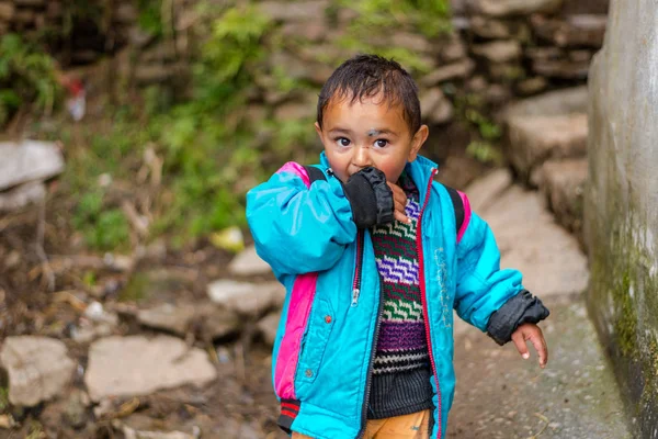 库尔卢，喜玛拉雅邦，印度 - 2019年4月1日 ： 喜马拉雅男孩的肖像，喜马拉雅山的孩子 — 图库照片