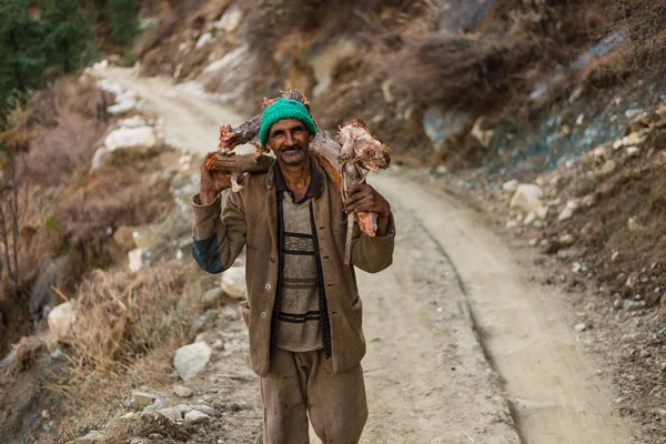 Kullu, Himachal Pradesh, India - 01 febbraio 2019: Uomo anziano non identificato che trasporta legno in Himalaya India — Foto Stock