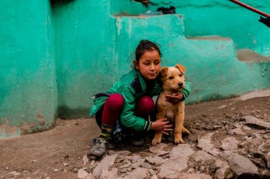 Kullu, Himachal Pradesh, Hindistan - 04 Şubat 2019 : Himalaya Dağları'nda çocuklu Hint köpeği, Himachal Pradesh