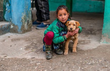 Kullu, Himachal Pradesh, Hindistan - 04 Şubat 2019 : Himalaya Dağları'nda çocuklu Hint köpeği, Himachal Pradesh