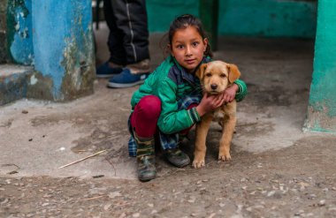 Kullu, Himachal Pradesh, Hindistan - 04 Şubat 2019 : Himalaya Dağları'nda çocuklu Hint köpeği, Himachal Pradesh