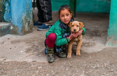 Kullu, Himachal Pradesh, Hindistan - 04 Şubat 2019 : Himalaya Dağları'nda çocuklu Hint köpeği, Himachal Pradesh