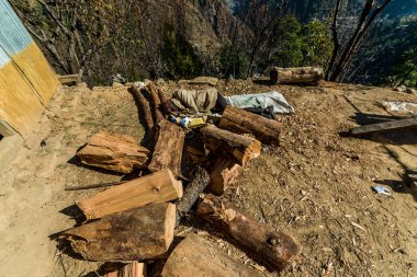 Kullu, Himachal Pradesh, Hindistan - 03 Aralık 2018 : Himalayalar'da yerde uyuyan yaşlı marangoz