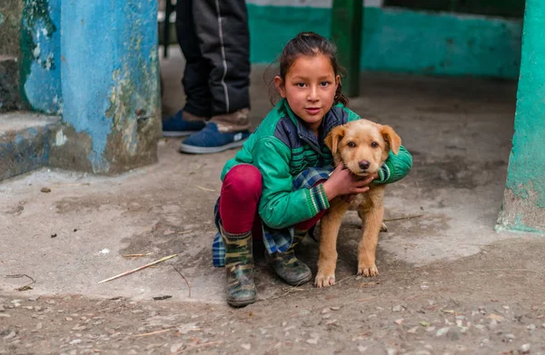 Kullu, Himachal Pradesh, Hindistan - 04 Şubat 2019 : Himalaya Dağları'nda çocuklu Hint köpeği, Himachal Pradesh