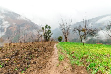 Himalayalar'da Sis - Yüksek dağlarla güzel manzara