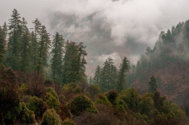 Sis ve kar yağışı Dağı'nda. Vintage tarzı manzara