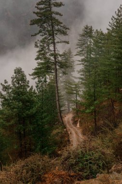 Sis ve kar yağışı Dağı'nda. Vintage tarzı manzara
