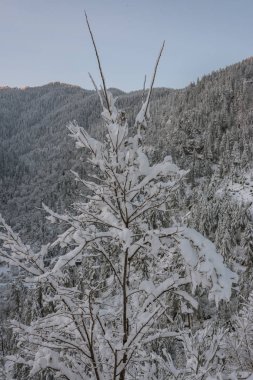 Himalayalar'da Majestic kış manzara fotoğrafı - Hindistan
