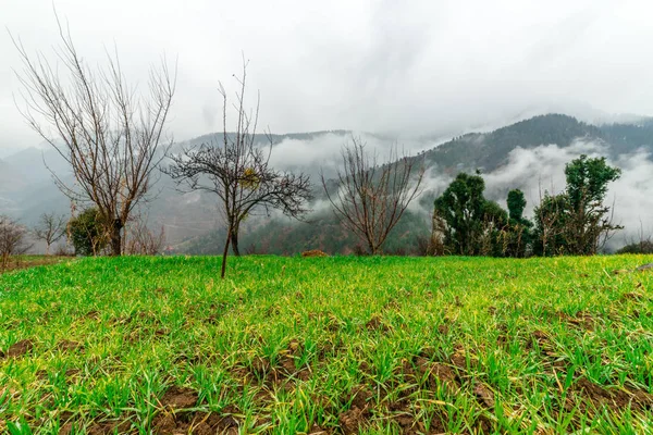 히말라야의 안개 - 높은 산과 아름다운 풍경 — 스톡 사진