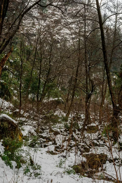 Snow szereplő Majestic téli táj Himalájában — Stock Fotó