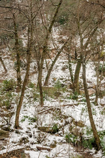 ヒマラヤの雄大な冬の風景に雪が覆われた — ストック写真