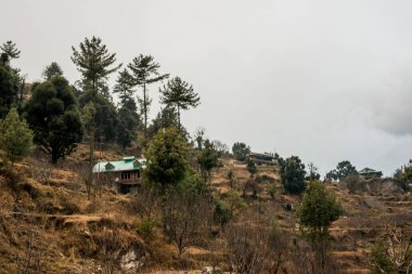 Himalayalar himachal tipik ahşap dağ evi