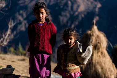 Kullu, Himachal Pradesh, Hindistan - 17 Ocak 2019 : Dağdaki Kız Portresi, Himalayalar -