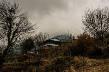 Himalayalar himachal tipik ahşap dağ evi