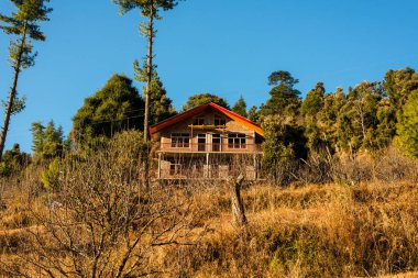 Himalayalar himachal tipik ahşap dağ evi