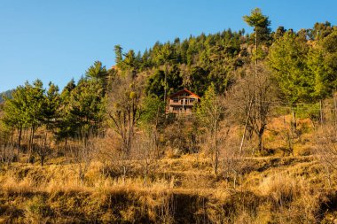 Himalayalar himachal Tarım Fotoğrafı