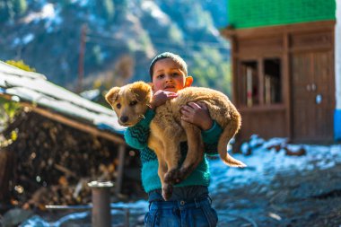 Kullu, Himachal Pradesh, Hindistan - 26 Ocak 2019 : Dağlarda köpekle oynayan mutlu çocuk