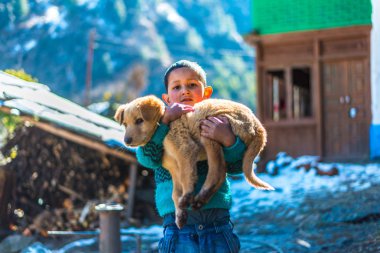 Kullu, Himachal Pradesh, Hindistan - 26 Ocak 2019 : Dağlarda köpekle oynayan mutlu çocuk